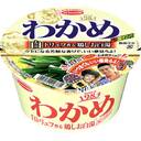 わかめラーメン 白トリュフ香る鶏しお白湯